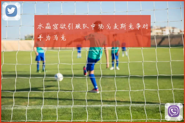 水晶宫欲引狼队中场戈麦斯竞争对手为马竞